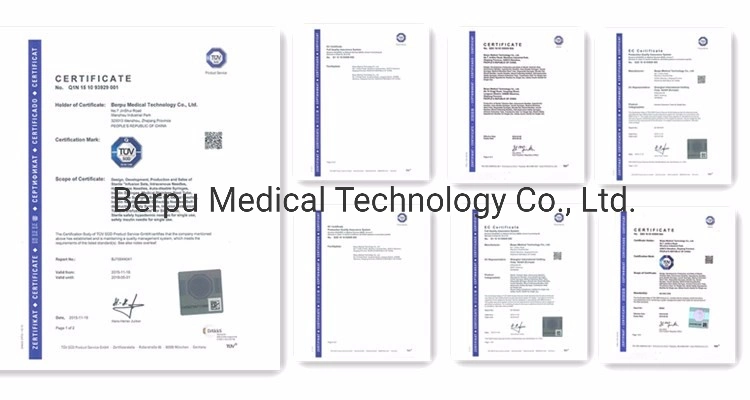 Berpu Medical Disposable Eo Sterile Pen Type Multi-Sample Visible Blood Collection Needle Blood Collecting Needle Blood Collection Flashback Needle CE ISO FDA